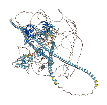DLG5 3D structure