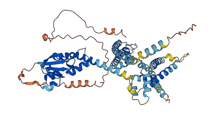 KCNV2 3D structure