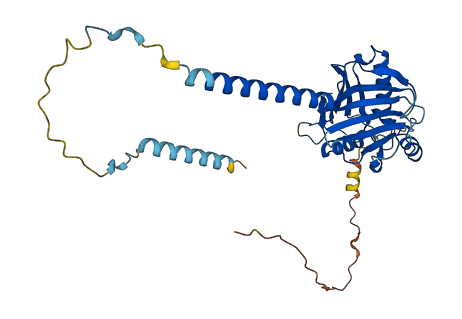 BRIX1 3D structure