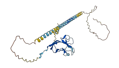 HAVCR2 3D structure