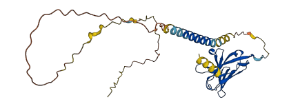 CD300LF 3D structure