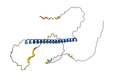TCP10L 3D structure