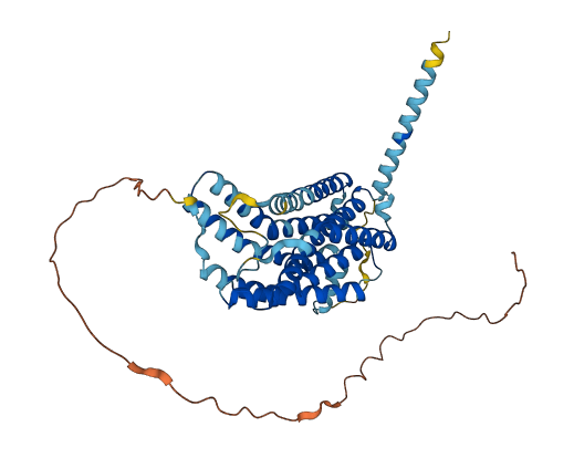 OXER1 3D structure