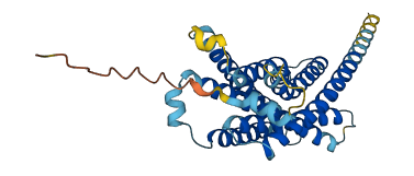 MRGPRD 3D structure