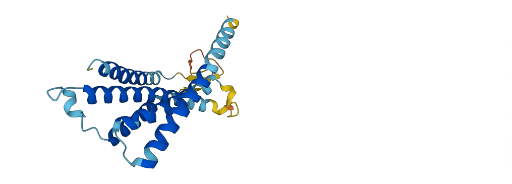 VN1R17P 3D structure