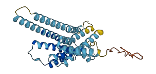 GPBAR1 3D structure