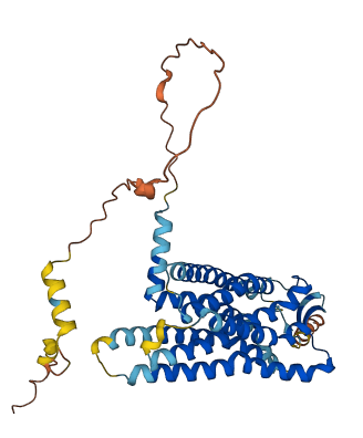 GPR151 3D structure