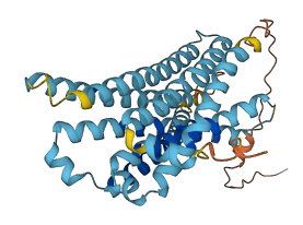 GPR148 3D structure