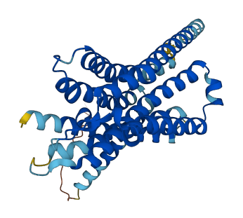 GPR119 3D structure