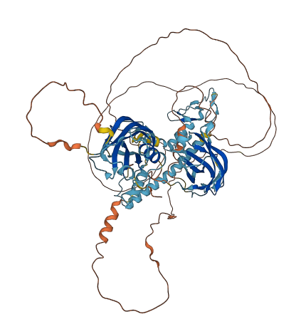 SYTL5 3D structure