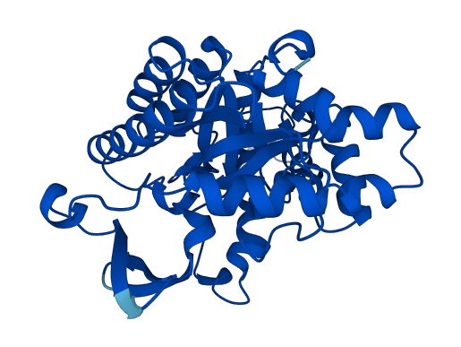 ACMSD 3D structure