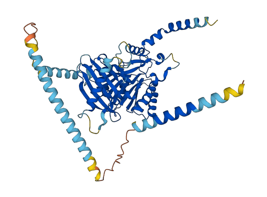 CSGALNACT1 3D structure