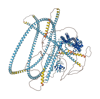 RB1CC1 3D structure