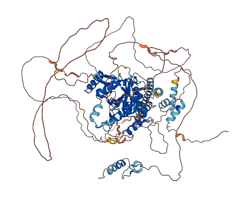 OTUD7A 3D structure