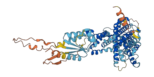 SLC26A7 3D structure