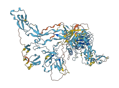 ADAMTS17 3D structure