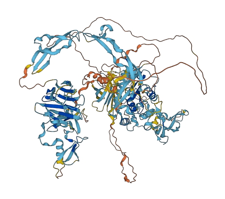 ADAMTS19 3D structure