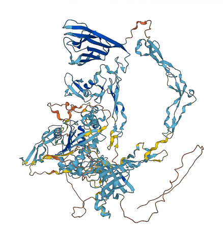 ADAMTS18 3D structure