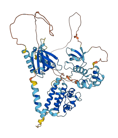 EPS8L3 3D structure