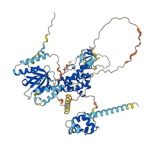 EPS8L1 3D structure
