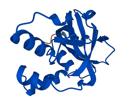 CXorf40A 3D structure