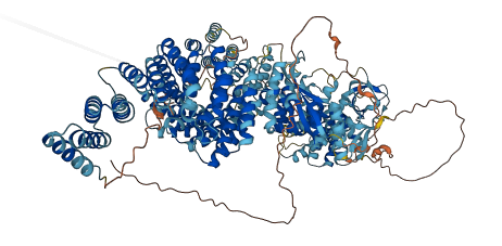 SH3TC1 3D structure