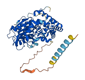 PXYLP1 3D structure