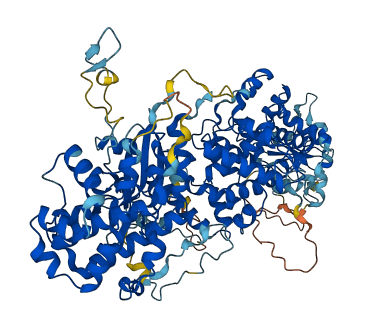 TBCK 3D structure