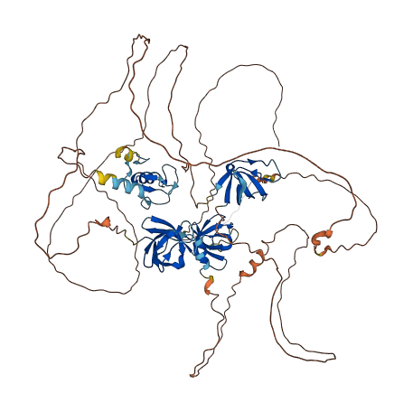 SH3RF2 3D structure