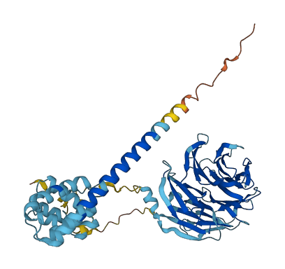 UTP15 3D structure