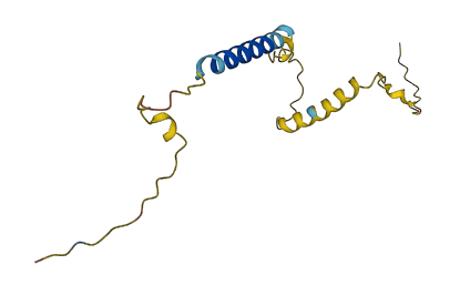 C10orf105 3D structure