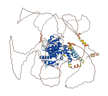 DENND1A 3D structure