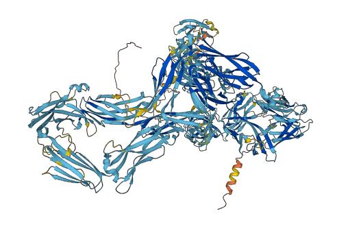 NUP210 3D structure