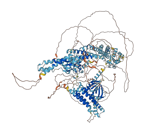 ARHGEF40 3D structure