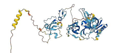 WFIKKN2 3D structure