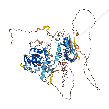 SMCR8 3D structure
