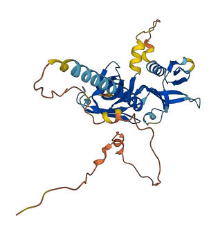 DOK4 3D structure