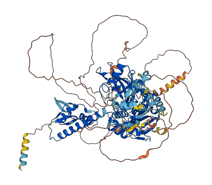 USP33 3D structure