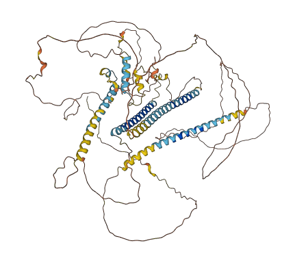 PNISR 3D structure