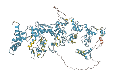 ZNF721 3D structure