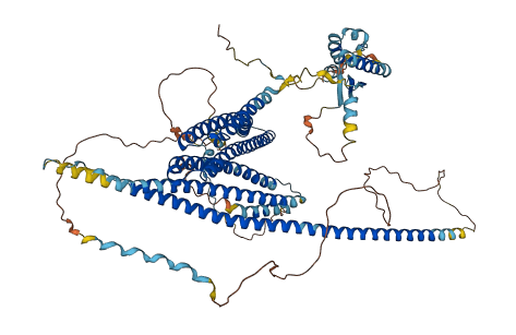 WHAMM 3D structure