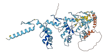 ZNF431 3D structure