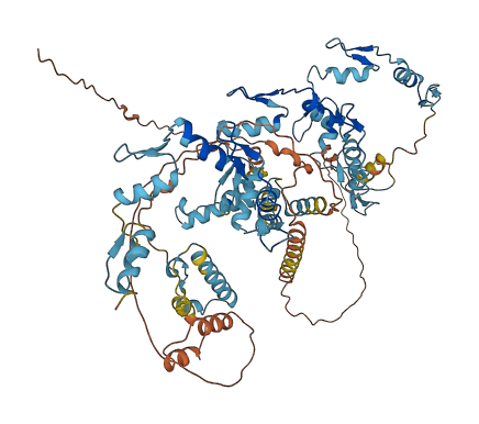 ZNF483 3D structure