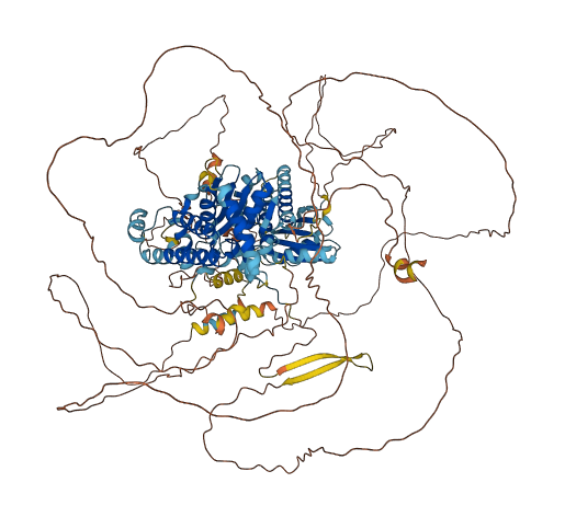 FNIP1 3D structure