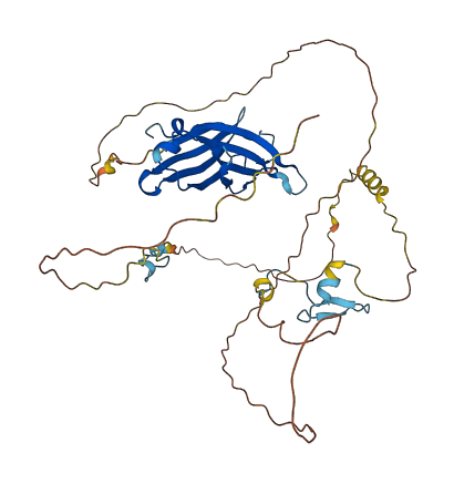 C2CD4C 3D structure