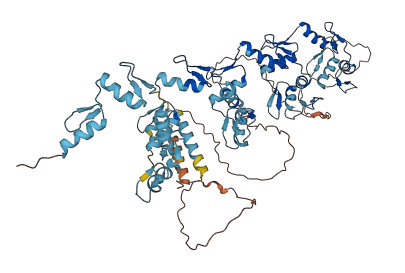 ZNF418 3D structure