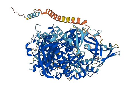 DIS3L 3D structure