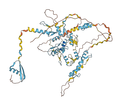 ZNF526 3D structure