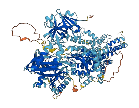 ATP8B4 3D structure