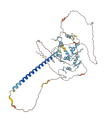 ZNF384 3D structure